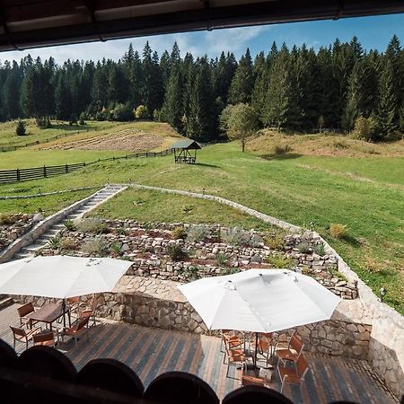 Conacul Domnitei Hotel Voronet Buitenkant foto