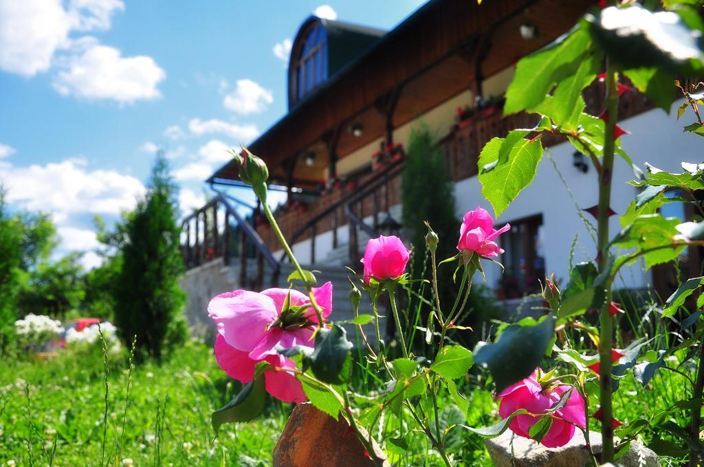 Conacul Domnitei Hotel Voronet Buitenkant foto