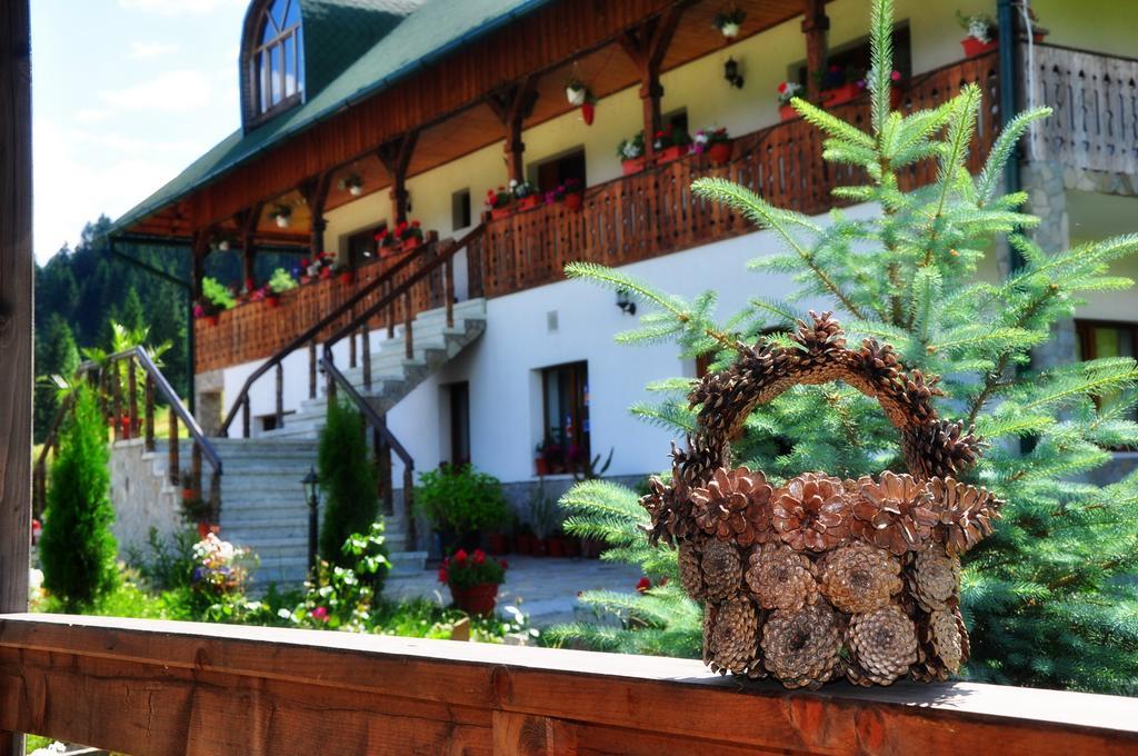 Conacul Domnitei Hotel Voronet Buitenkant foto